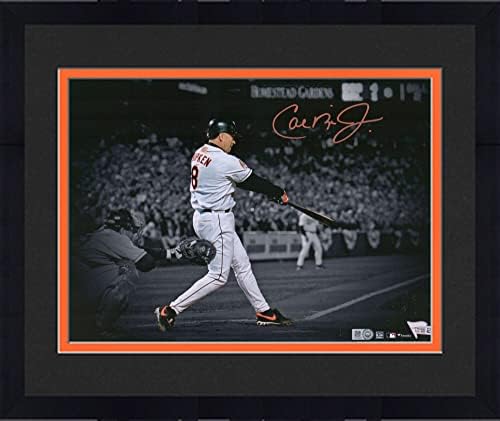 Keretes Cal Ripken Jr. - Baltimore Orioles Dedikált 11 x 14 Spotlight Fénykép - Dedikált MLB Fotók